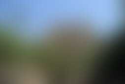 Фотография квеста Наследие майя от компании Территория квеста (Фото 1)