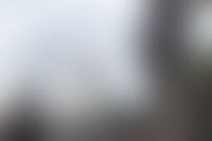 Фотография городского квеста О патриотизме, тульских оружейниках и блохах от компании Ubego (Фото 2)