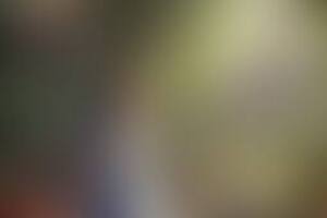 Фотография VR-квеста Алиса в Стране чудес от компании VMatrix (Фото 2)