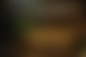 Фотография городского квеста Тайна сокровищ помещика Орлова от компании Ubego (Фото 1)