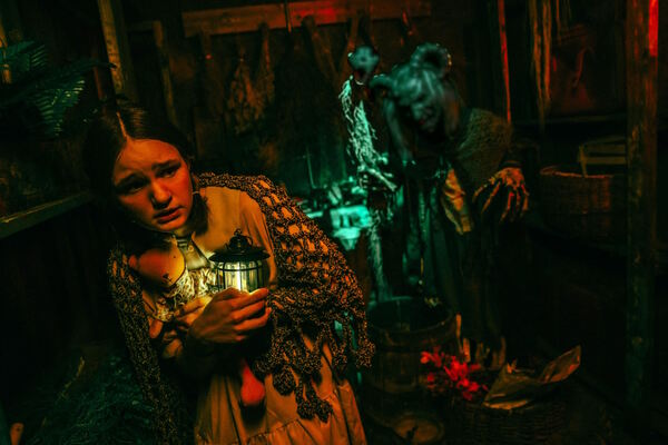 Дом на болоте