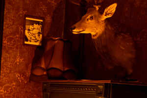 Фотография квеста Шепот стен от компании Arcanum (Фото 2)