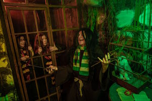 Фотография квеста Гарри: тени прошлого от компании Incubo (Фото 4)