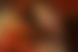 Фотография ролевого квеста Ночная попутчица от компании Questoria (Фото 1)
